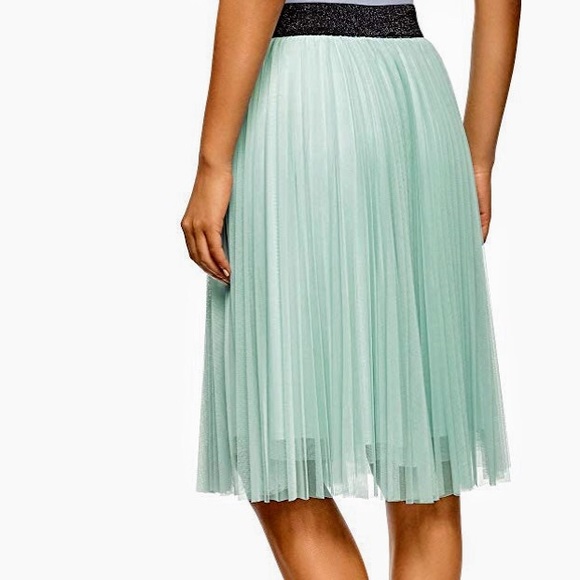 Mint Green Mesh Pleated Skirt - Picture 4 of 8